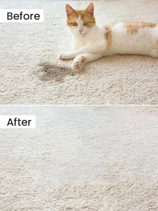 Before After